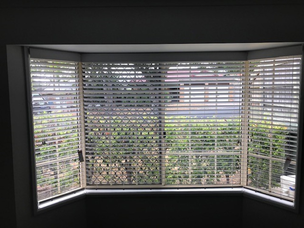 Polymer Venetian Blinds 3
